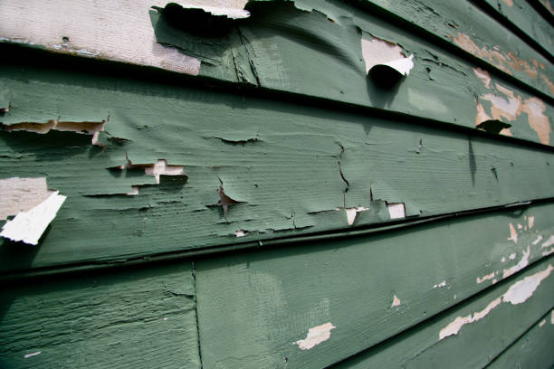 Best Siding Painting and Refinishing  in Vista Center, NJ