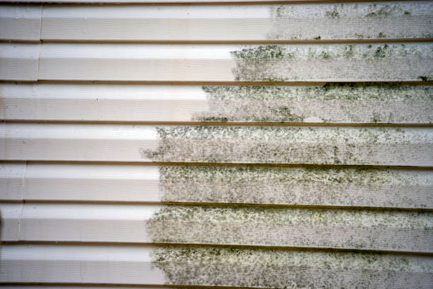 Best Siding Removal and Disposal  in Vista Center, NJ